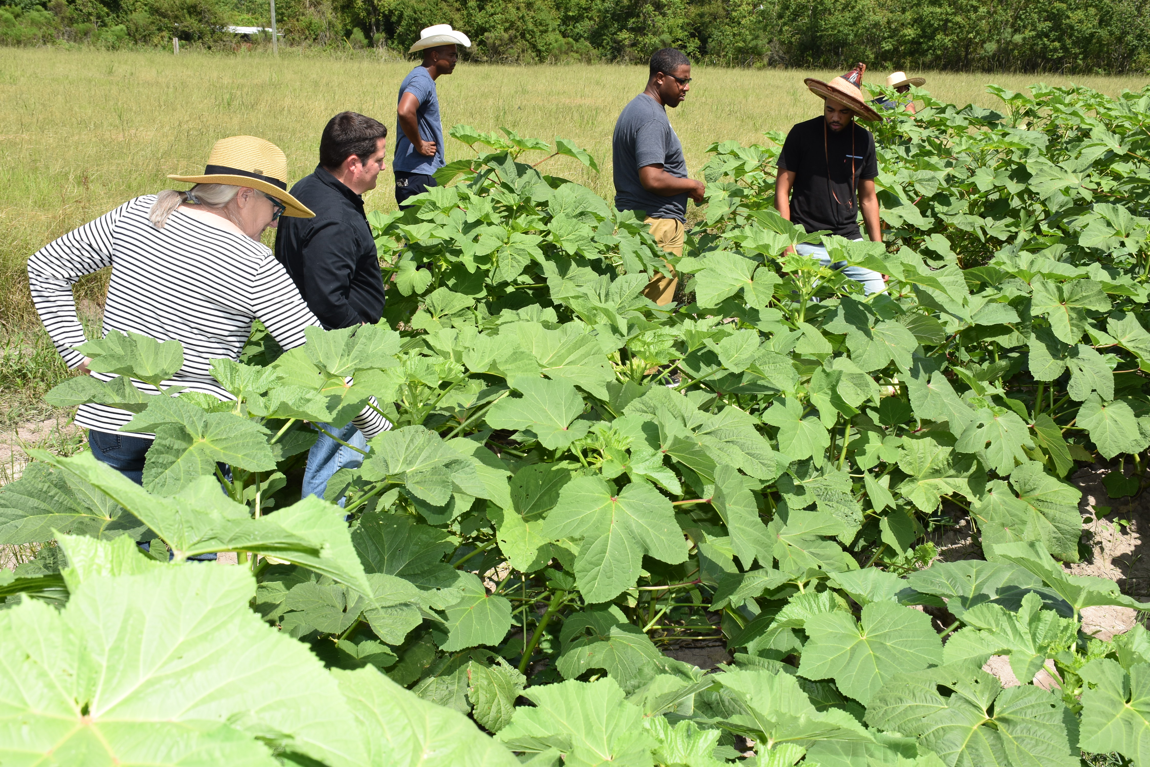 Beginning farmer training program begins Oct. 1 in Baton Rouge